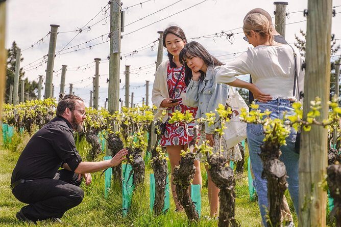 Gibbston Valley Wines - Winery Tour - Why This Tour Offers Real Value