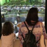 Ginger Factory and Nutworks Return Bus Transfer: Sunshine Coast - A Closer Look at the Itinerary