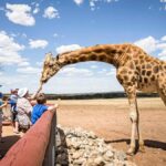 Giraffe Safari & a Day at Monarto Safari Park - What to Expect on the Tour