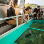 Glass Bottom Boat Tour - Practical Tips for Travelers