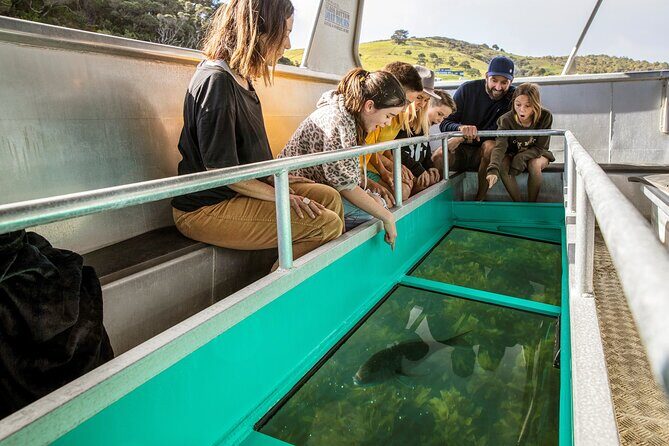 Glass Bottom Boat Tour - Practical Tips for Travelers