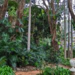 Glass House Mountains, Maleny and Montville Tour from Brisbane - What to Expect from the Tour