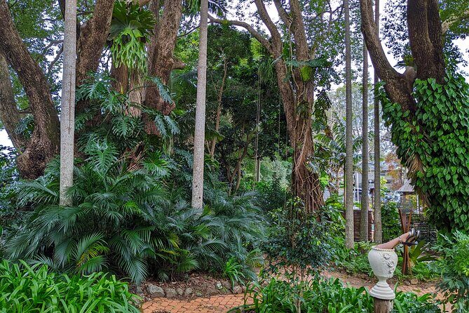 Glass House Mountains, Maleny and Montville Tour from Brisbane - What to Expect from the Tour