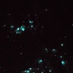 Glow Worm Caves Express Tour in Bay of Islands - The Scenic Drive and Additional Stops