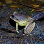 Glow Worms - Nocturnal Rainforest/Waterfall Adventure - Why This Tour Offers Great Value