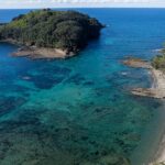 Goat Island Experience Advanced Snorkel Tour - Analyzing the Value