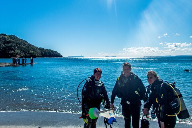 Goat Island Experience Guided Shore Dive - The Itinerary: Breaking Down Each Key Site