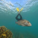 Goat Island Guided Snorkeling Tour for Beginners - What to Expect and Practical Tips