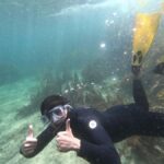 Goat Island Guided Snorkelling Tour For Advanced - The Value for Travelers