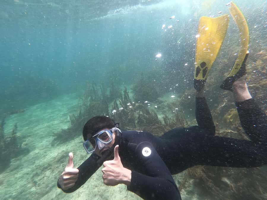 Goat Island Guided Snorkelling Tour For Advanced - The Value for Travelers