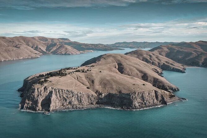 Godley Head & Lyttelton Scenic Drive & Guided Walk (Private Tour) - Who Will Love This Tour?