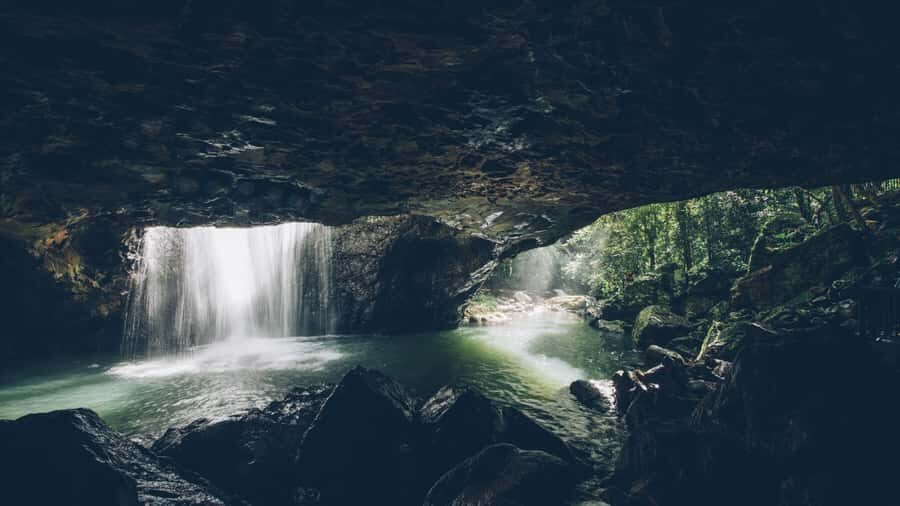 Gold Coast: 6 Waterfalls, Koalas & Natural Bridge Day Tour - Practical Details and Value