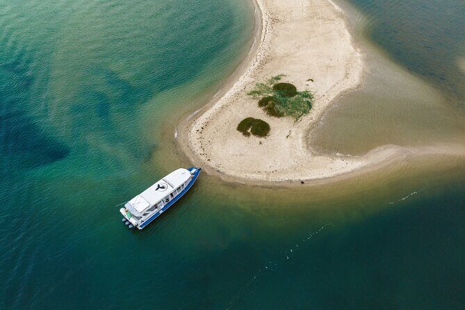 Gold Coast and Wavebreak Island Cultural Small Group Cruise - Analyzing Value and Price