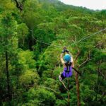 Gold Coast Canyon Flyer Zipline Tour - Why Travelers Rave About This Experience