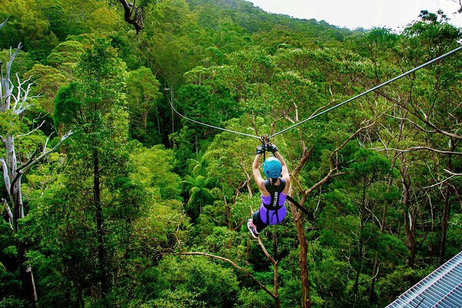 Gold Coast Canyon Flyer Zipline Tour - Why Travelers Rave About This Experience
