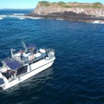 Gold Coast: Cook Island Marine Reserve Scuba Experience Dive - The Underwater Environment: What Youll See