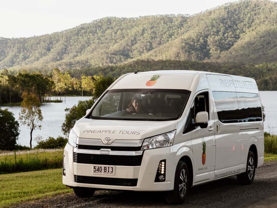 Gold Coast: Daytime Glow Worm Caves and Hop-on Hop-off Tour - What the Reviews Say