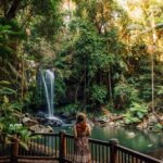 Gold Coast: Hop on Hop off Bus to Tamborine Mountain - What You Can Expect from the Tour