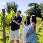 Gold Coast: Hop on Hop off Wine Tasting Tour to Mt Tamborine - Authentic Feedback and What Travelers Say