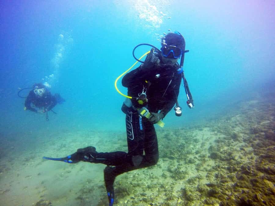 Gold Coast: Introductory SCUBA Diving Experience - Real Feedback from Past Participants