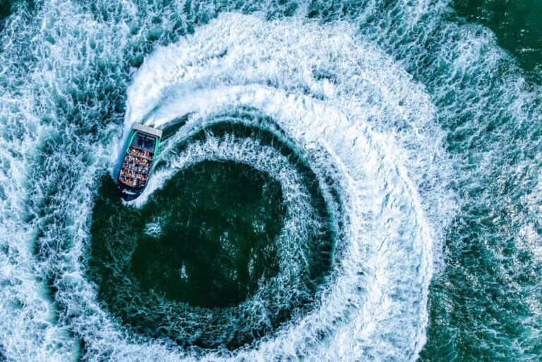 Gold Coast: Jet Boat Ride & Sea World Entry Ticket - The Practical Side: What You Need to Know