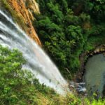 Gold Coast: Kangaroos, Rainforest & Waterfalls Experience - Why This Tour Offers Good Value