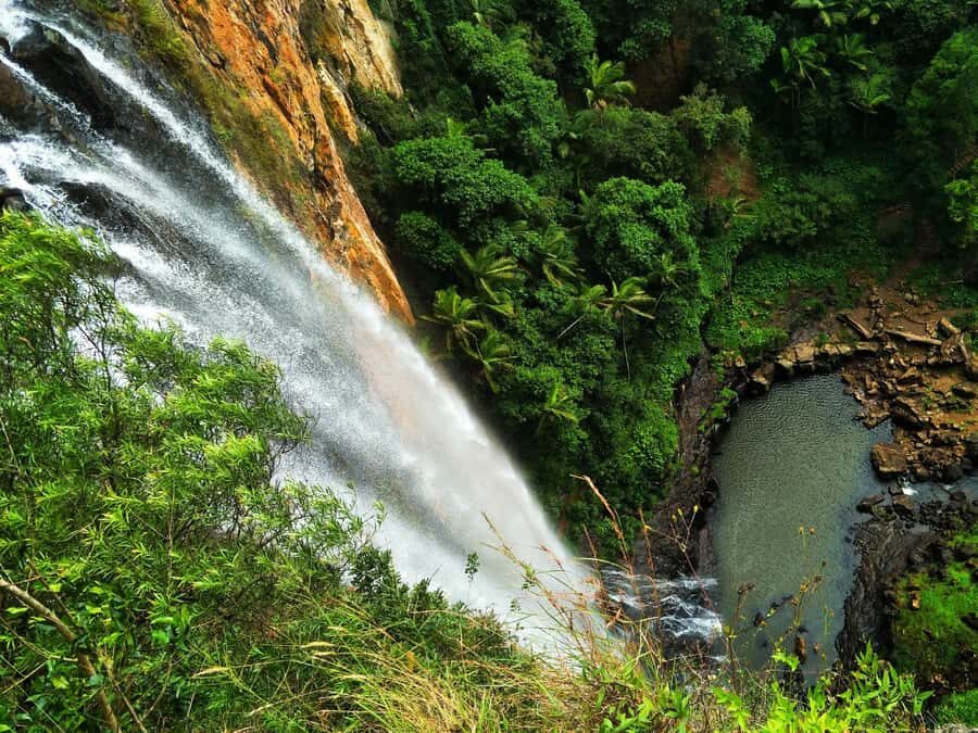 Gold Coast: Kangaroos, Rainforest & Waterfalls Experience - Why This Tour Offers Good Value