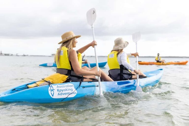 Gold Coast: Kayaking and Snorkeling Guided Tour - Authentic Reviews: What Participants Say