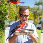 Gold Coast: Lamington Treetops, Wildlife and Vineyard Visit - In-Depth Tour Breakdown