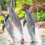 Gold Coast: Movie World, Sea World, Wet'n'Wild 14-Day Pass - An In-Depth Look at the 14-Day Pass Experience