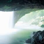 Gold Coast: Natural Bridge Glow Worm Night Tour - Analyzing the Value and Experience