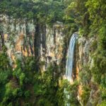 Gold Coast: Natural Bridge & Springbrook Waterfalls Tour - The Itinerary Breakdown: What You’ll Experience