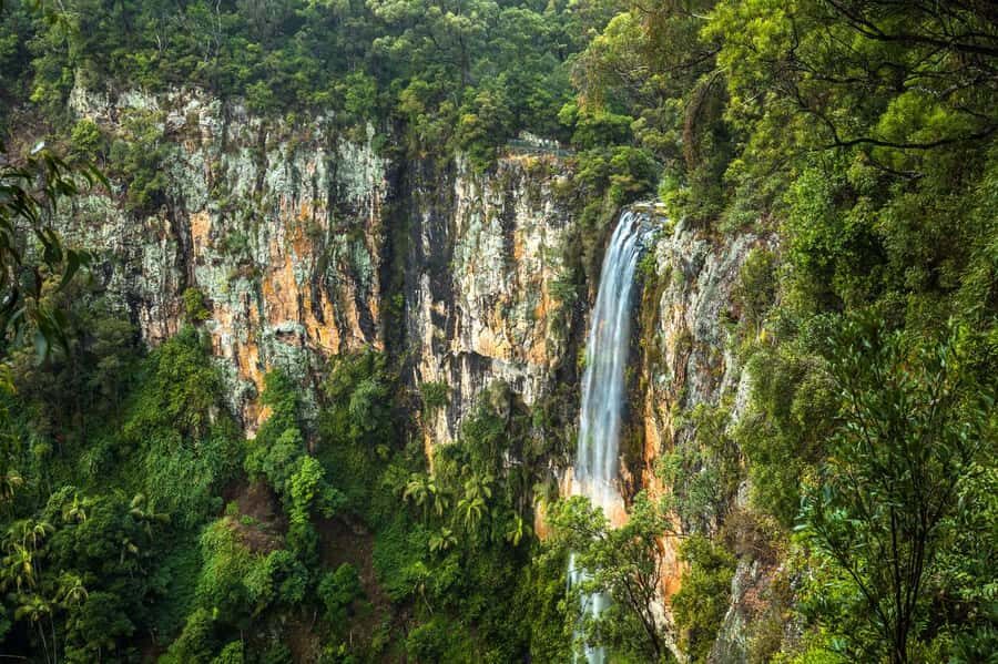 Gold Coast: Natural Bridge & Springbrook Waterfalls Tour - The Itinerary Breakdown: What You’ll Experience