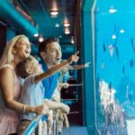 Gold Coast: Sea World Cruise & Entry Combo Ticket - Exploring the Itinerary in Detail