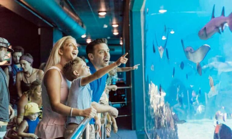 Gold Coast: Sea World Cruise & Entry Combo Ticket - Exploring the Itinerary in Detail