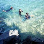 Gold Coast: Snorkelling in Wave Break Island - Who Should Consider This Tour?