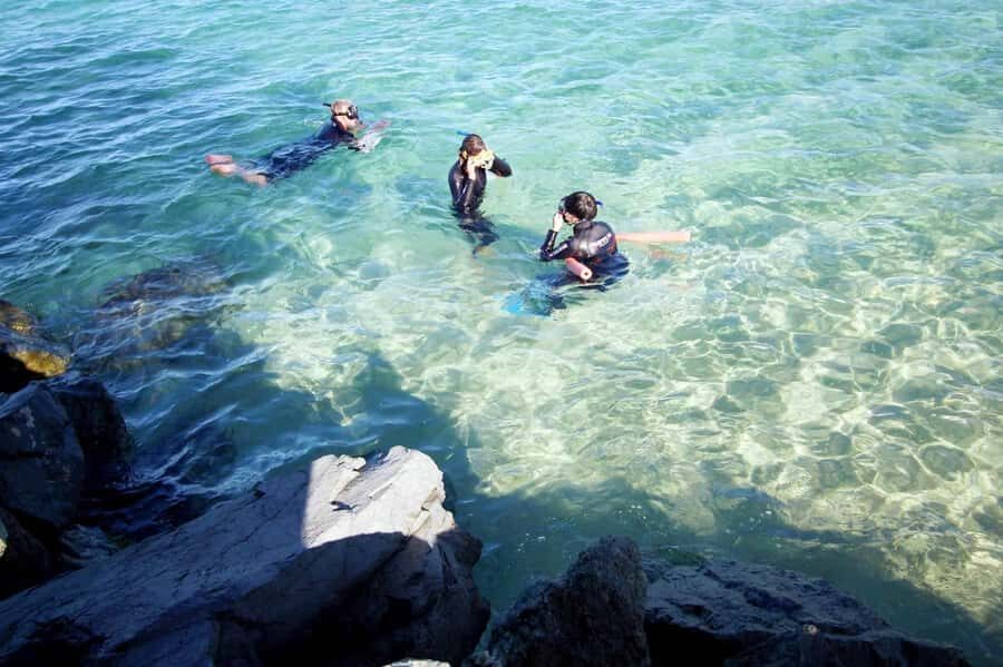 Gold Coast: Snorkelling in Wave Break Island - Who Should Consider This Tour?