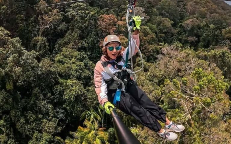 Gold Coast: Tamborine Mountain Canyon Flyer Zipline Tour - Authentic Reviewer Perspectives