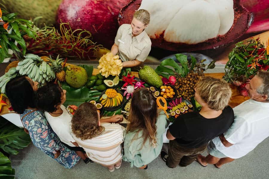 Gold Coast: Tropical Fruit World Full Farm Tour - Who Will Love This Tour?