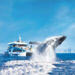 Gold Coast: Whale Watching Cruise & Sea World Entry - Who Is This Tour For?