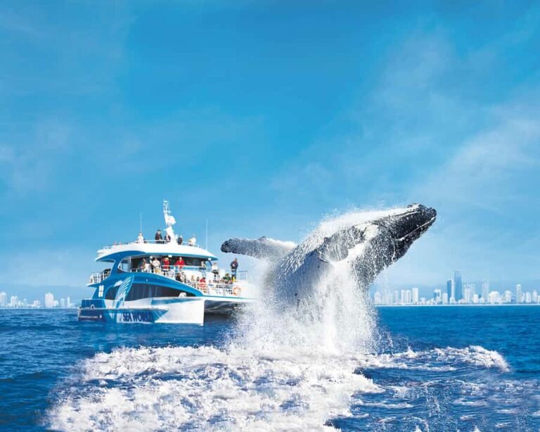 Gold Coast: Whale Watching Cruise & Sea World Entry - Who Is This Tour For?