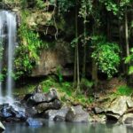Gold Coast: Wine, Distillery & Rainforest Day Tour - The Sum Up