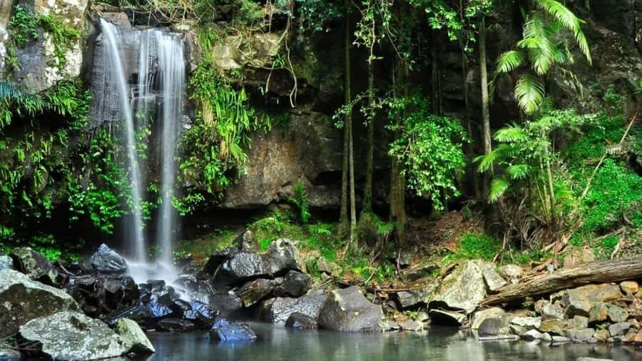 Gold Coast: Wine, Distillery & Rainforest Day Tour - The Sum Up