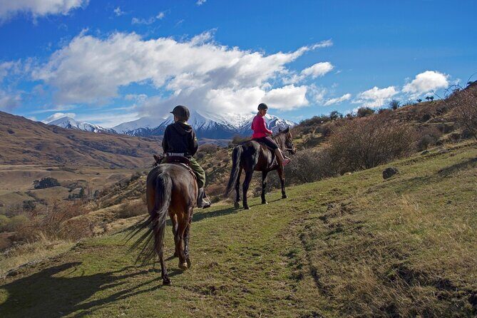 Gold Discovery Trail Horse Trek Cardrona - Most popular! - Horses and Safety: Making First-Timers Comfortable