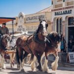 Gold Rush Adventure Explore the Mine and Scenic Ballarat Lake - Transportation & Group Details