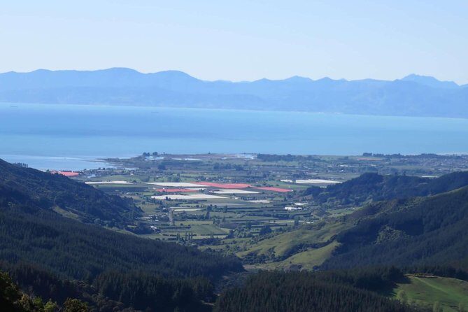 Golden Bay in a Day - Exploring the Natural Wonders of Kahurangi and Abel Tasman