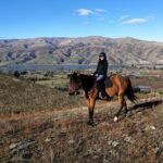 Golden Hills Horse Trek in Central Otago - Why This Tour Works for Travelers