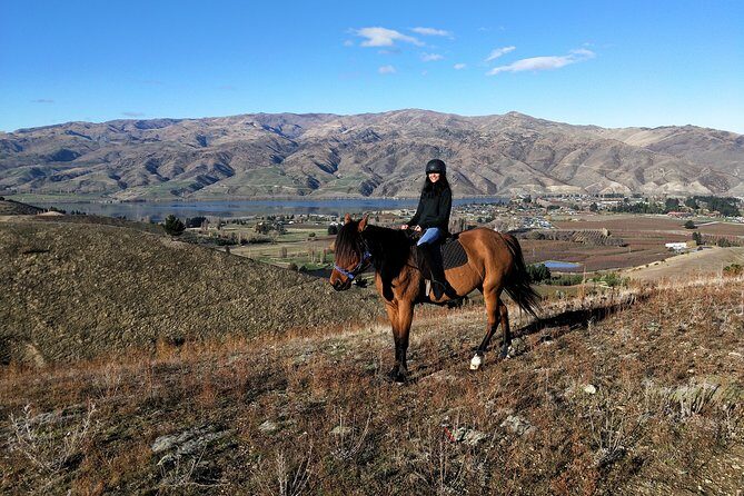 Golden Hills Horse Trek in Central Otago - Why This Tour Works for Travelers