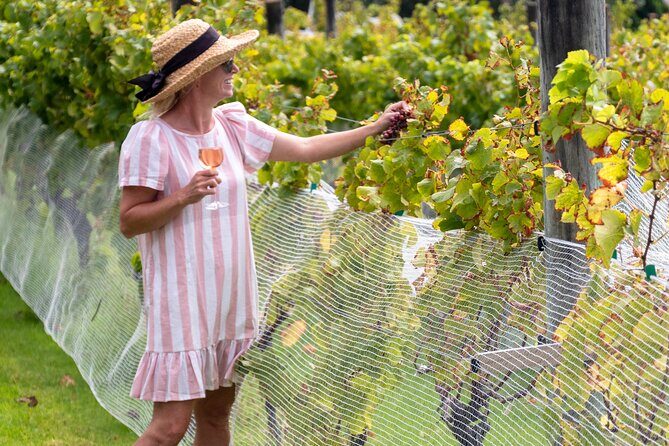 Gourmet Mystery Picnic Experience in Matakana - FAQ