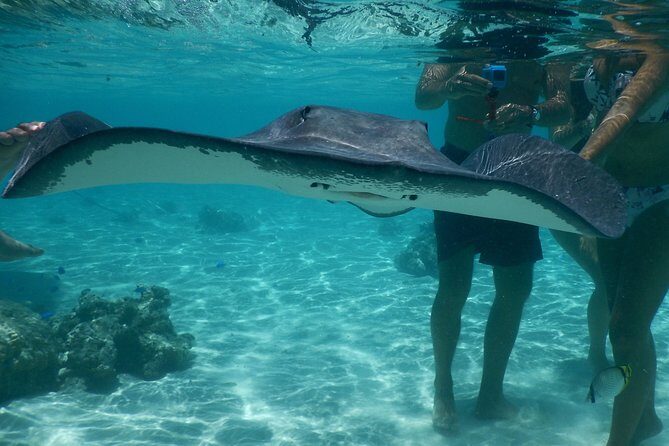 Grand Combo 3H00 of Jetski + 2H30 of Quad - An In-Depth Look at the Tour Itinerary